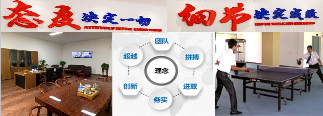 公司福利与文化